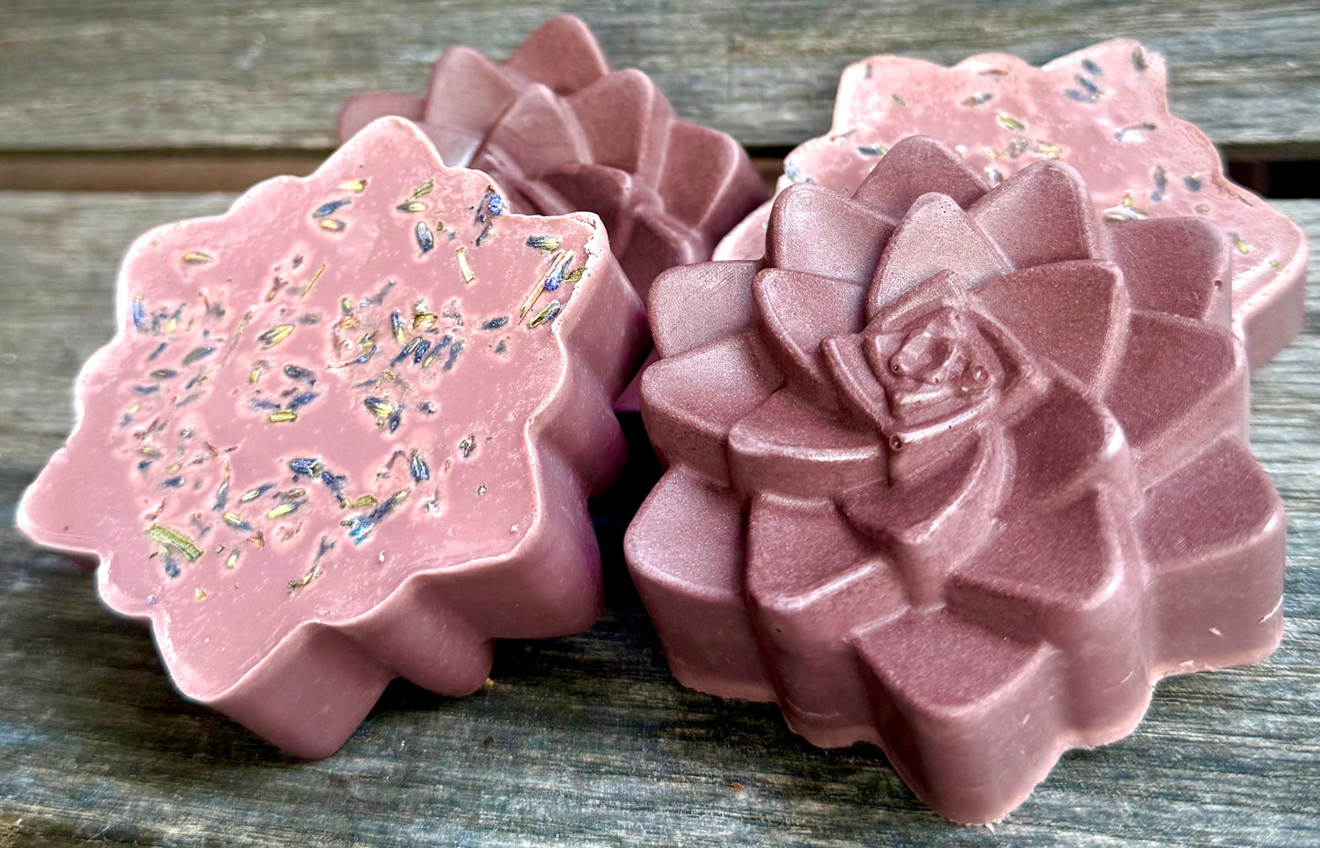 Peaceful Lavender Succulent