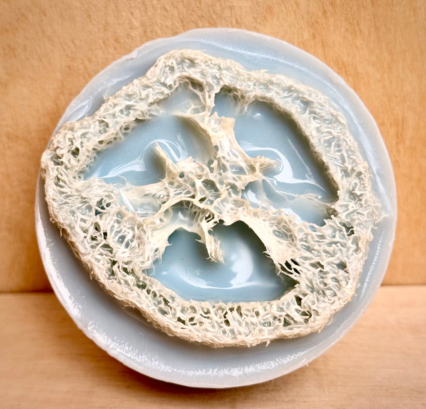 Hickory Suede Loofah Soap Bar