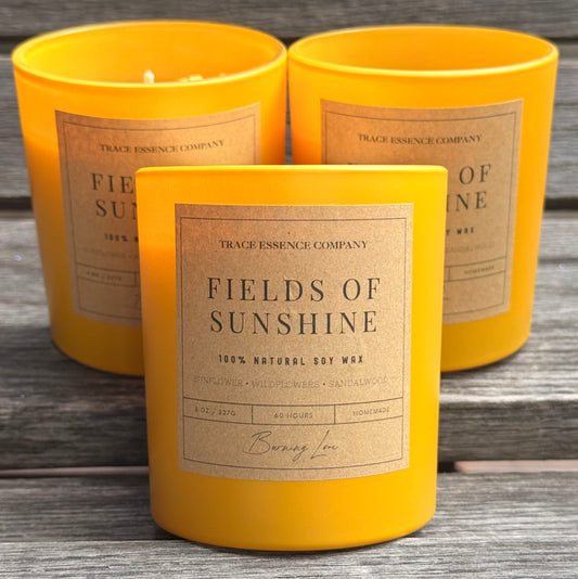 Fields of Sunshine