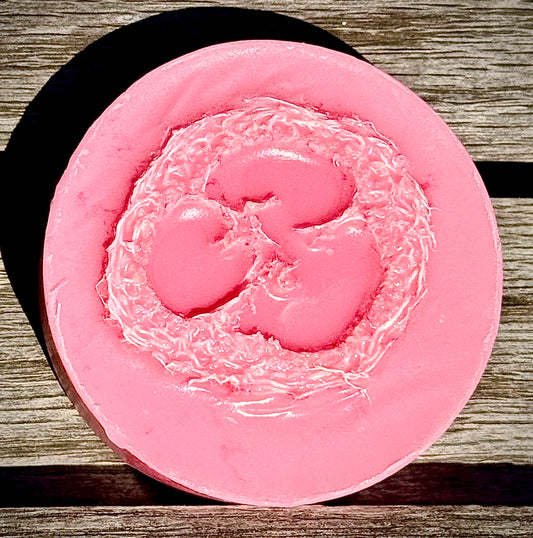 Apple Crisp Loofah Soap Bar