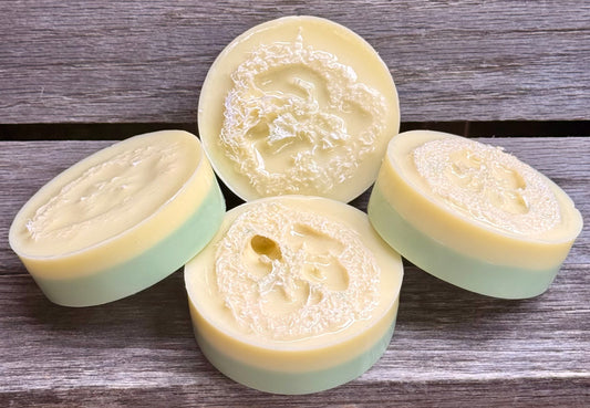 Coconut Lemongrass Loofah Bar